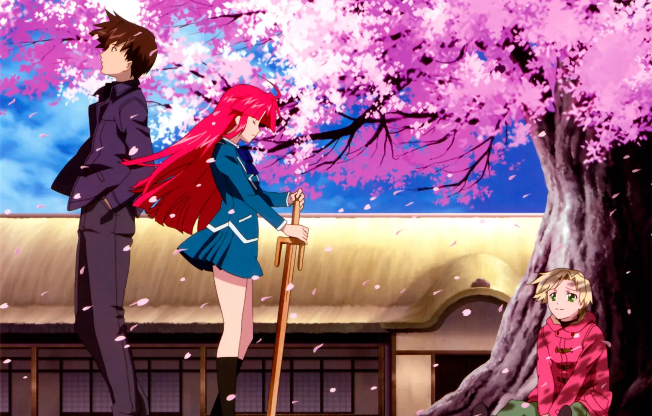 Photo wallpaper trees, sword, Sakura, Kaze No Stigma, Seal of the wind
