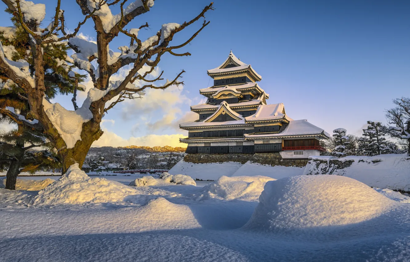 Photo wallpaper winter, snow, trees, Japan, Japan, Matsumoto, Matsumoto, Matsumoto castle
