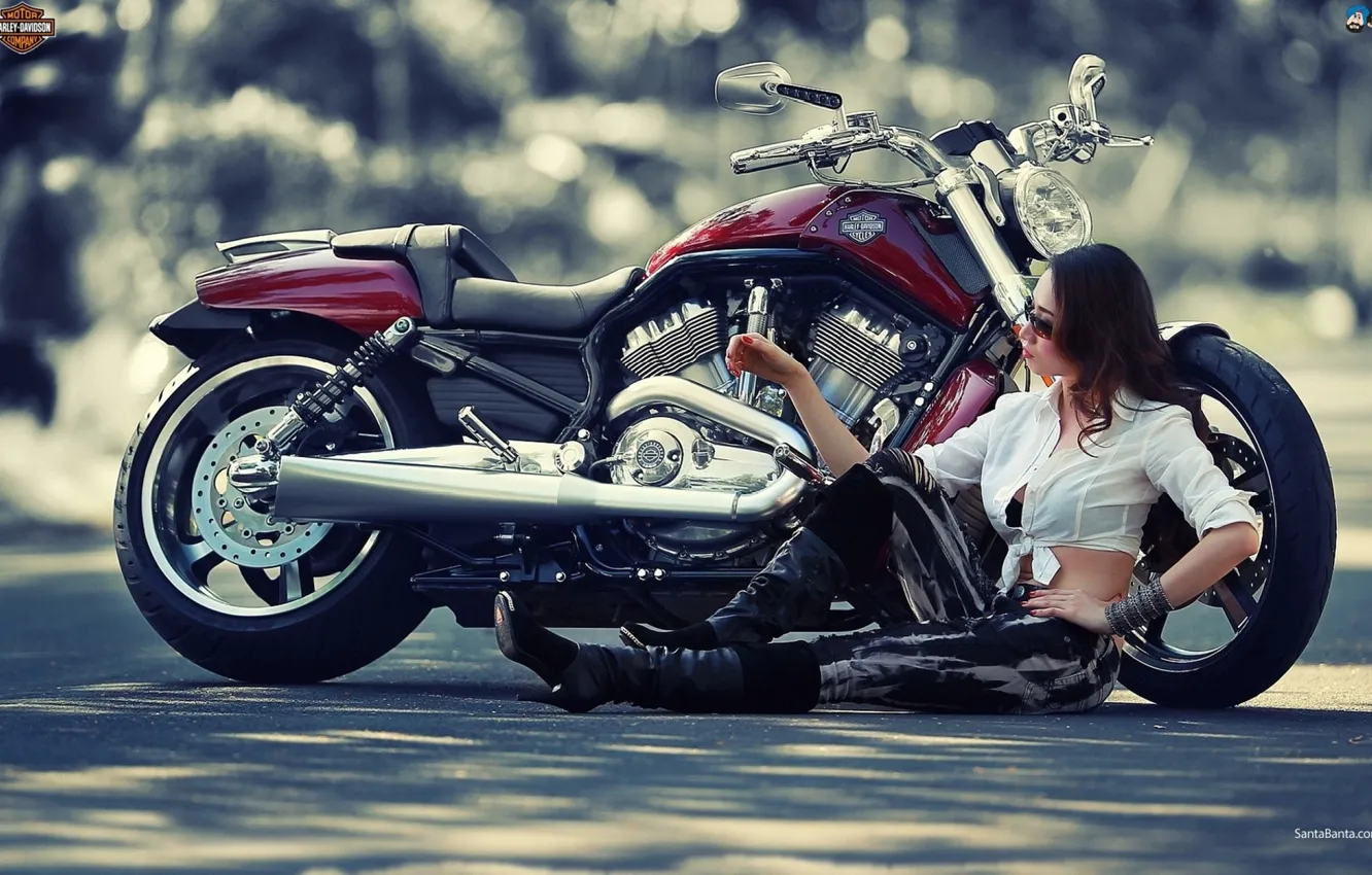 Photo wallpaper Harley, girl, motorcycles