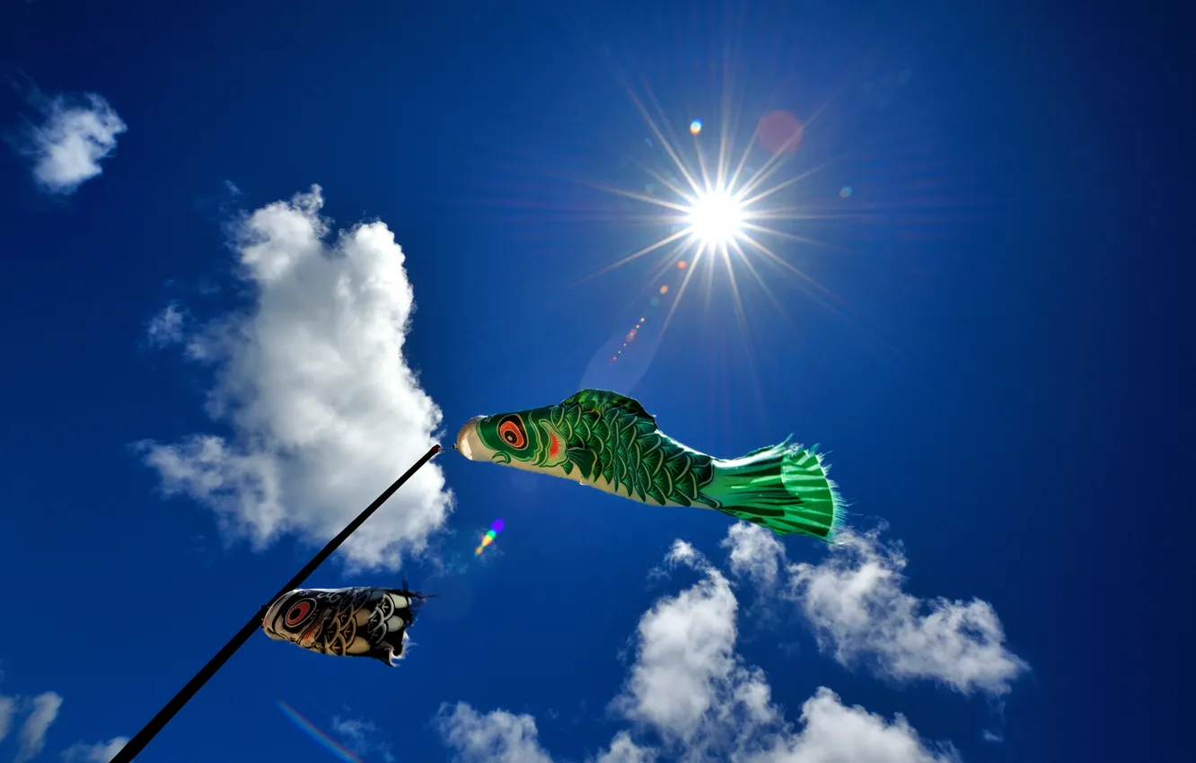 Photo wallpaper the sky, clouds, fish, the wind, weathervane
