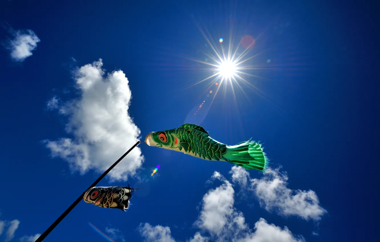 Photo wallpaper the sky, clouds, the wind, fish, weathervane
