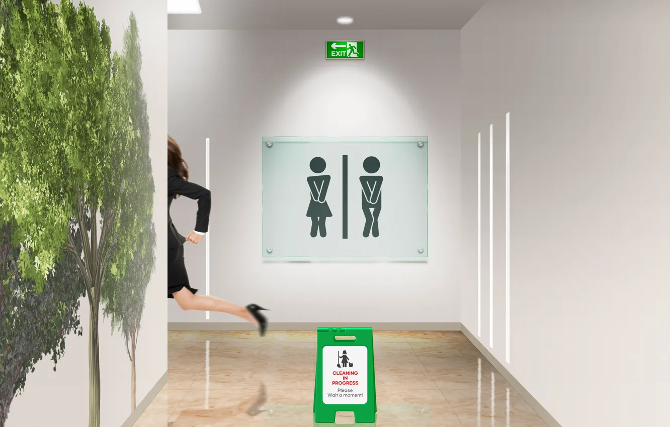 Photo wallpaper sign, public restroom, toilet sign