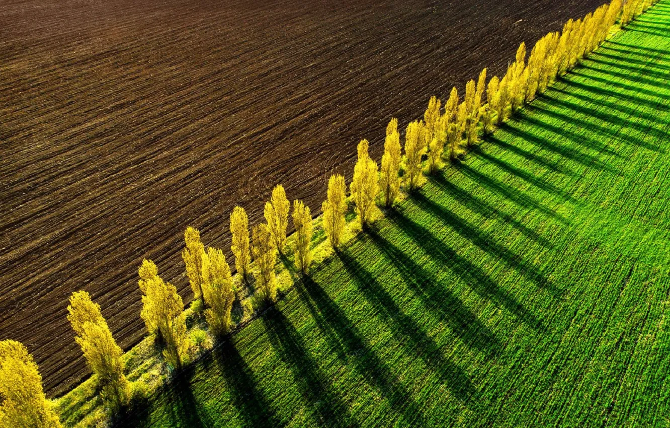 Photo wallpaper road, field, spring