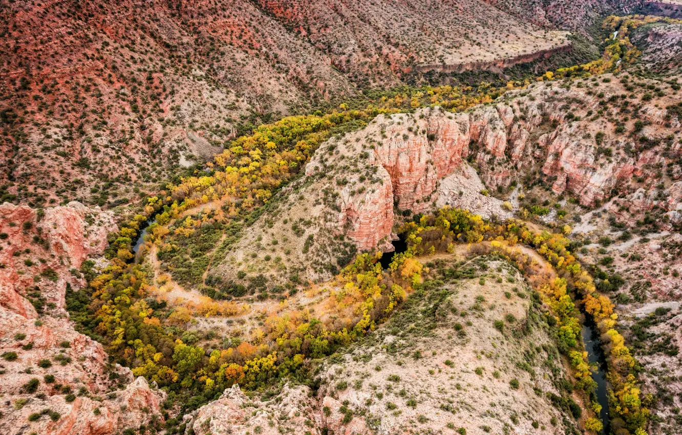 Photo wallpaper Arizona, Autumn, verde valley, Sycamore Creek, sycamore canyon