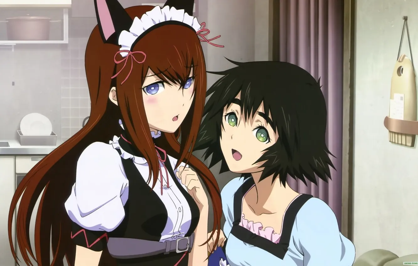 Photo wallpaper Gate Of Steiner, steins;gate, The Kuris The Makis, Mouri, assistant