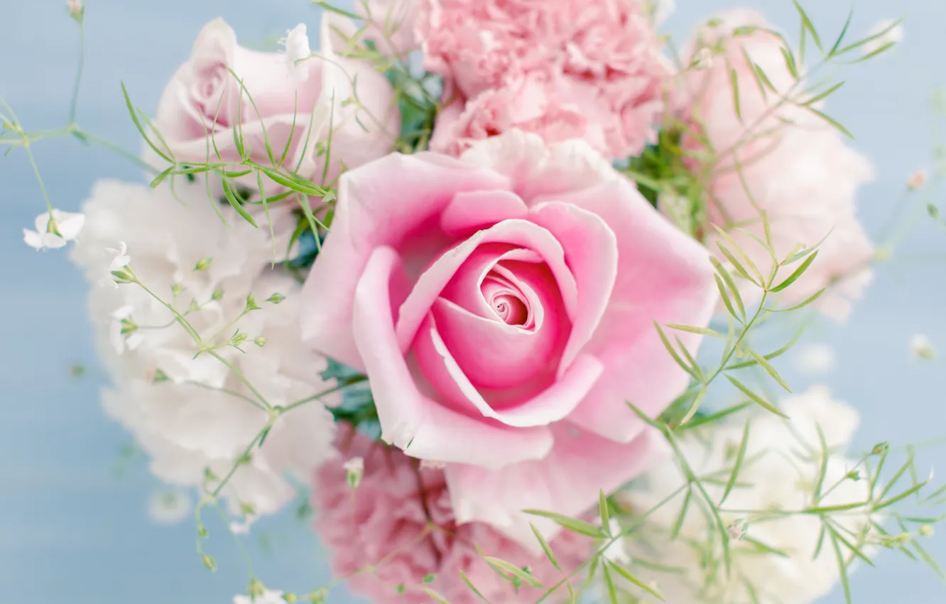 Photo wallpaper flowers, beautiful, flowers, beautiful, Pink rose, Pink rose