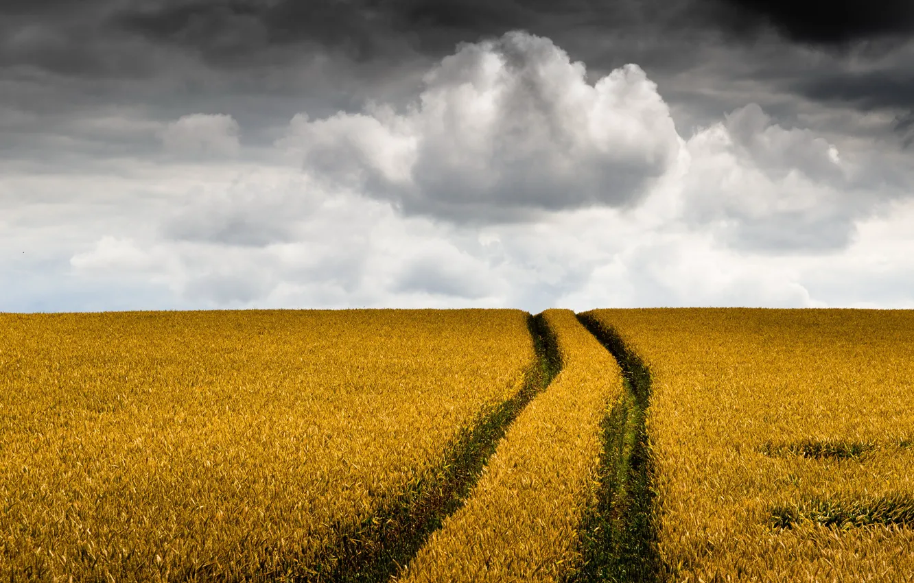 Photo wallpaper road, field, summer