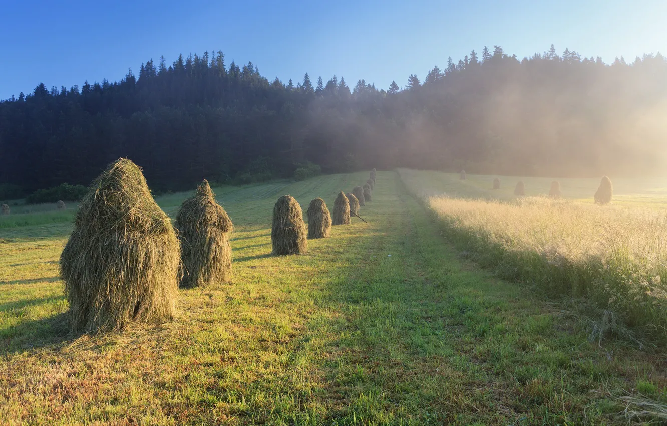 Photo wallpaper field, hay, haystack, stack