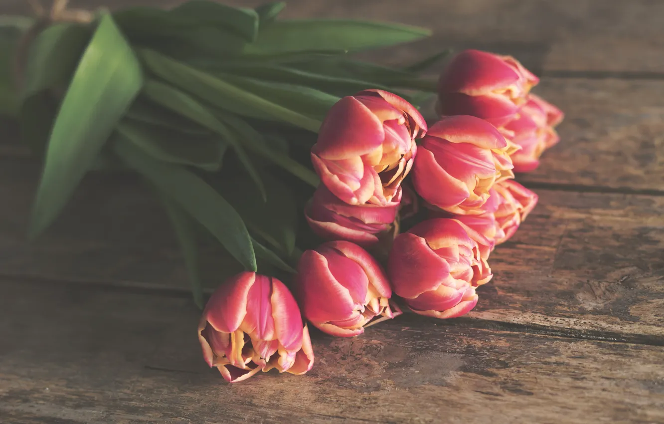 Photo wallpaper flowers, Board, bouquet, tulips, red, lie