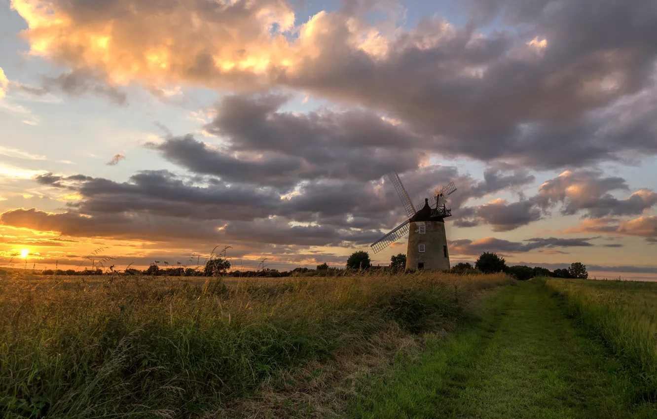 Photo wallpaper field, the sky, windmill