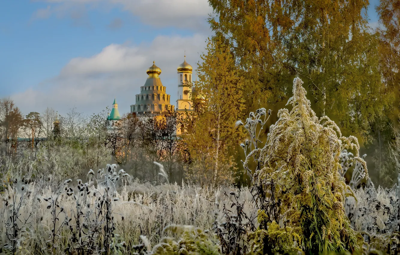 Photo wallpaper landscape, nature, the monastery, freezing, The New Jerusalem, Vyacheslav Biryukov
