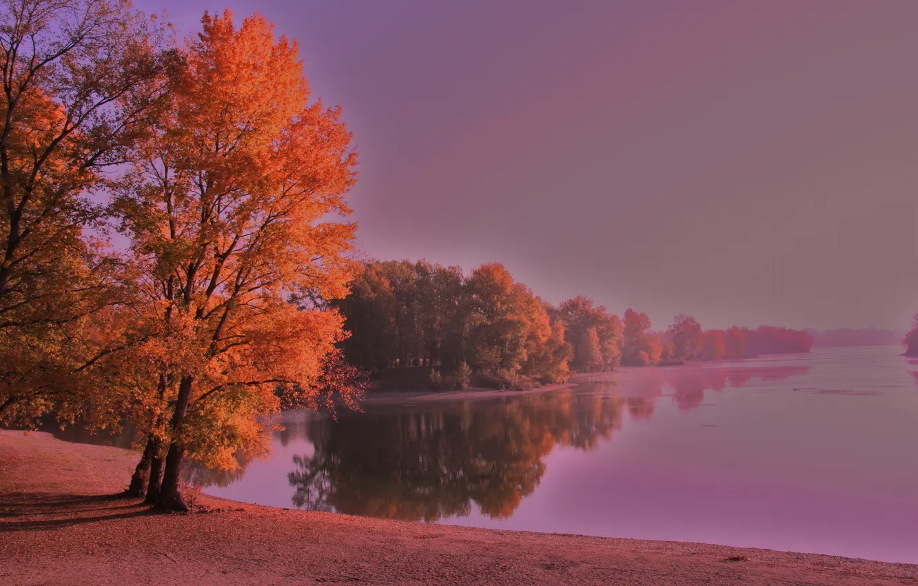 Photo wallpaper FOREST, LEAVES, RIVER, TREES, DAL, AUTUMN, FOG