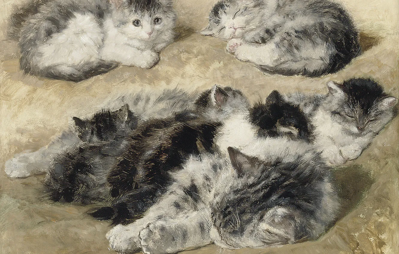 Photo wallpaper cat, picture, kitty, Henrietta Ronner-Knipe, Henriette Ronner-Knip, Furry friends, The Belgian artist