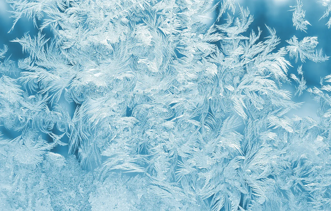 Photo wallpaper cold, winter, frost, glass, snow, pattern, ice, texture