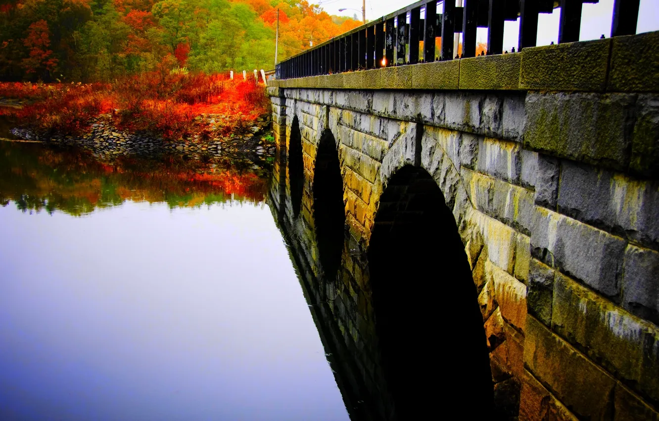 Photo wallpaper water, trees, bridge, surface, Park, river, Autumn, stone