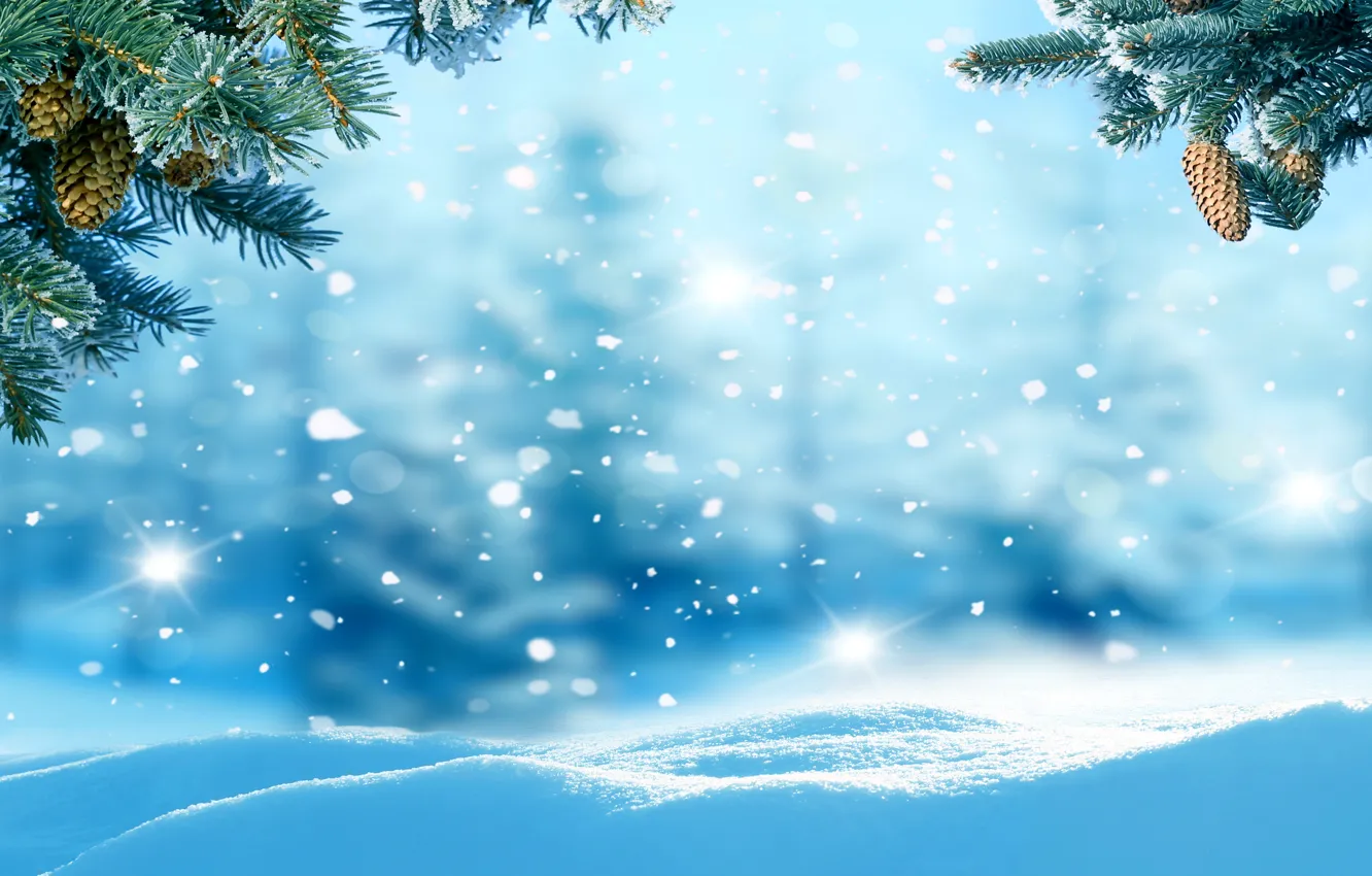 Photo wallpaper winter, forest, snow, snowflakes, tree, nature, winter, snow