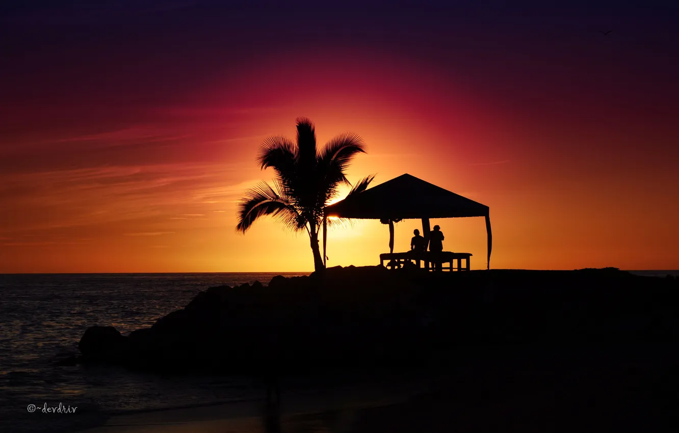 Photo wallpaper sunset, palm trees, Chill Out