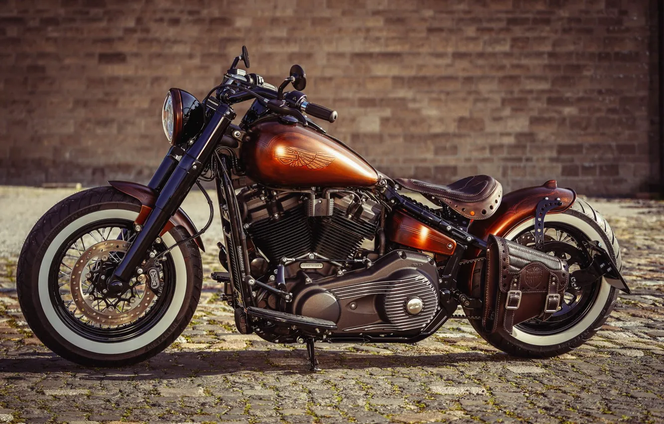 Photo wallpaper Harley Davidson, Harley-Davidson, Custom, Slim, Motorcycle, Thunderbike, By Thunderbike, COPPER PENNY