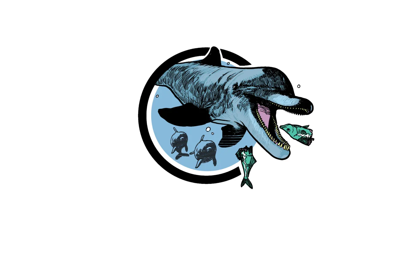 Photo wallpaper sea, fish, dolphins, hunting