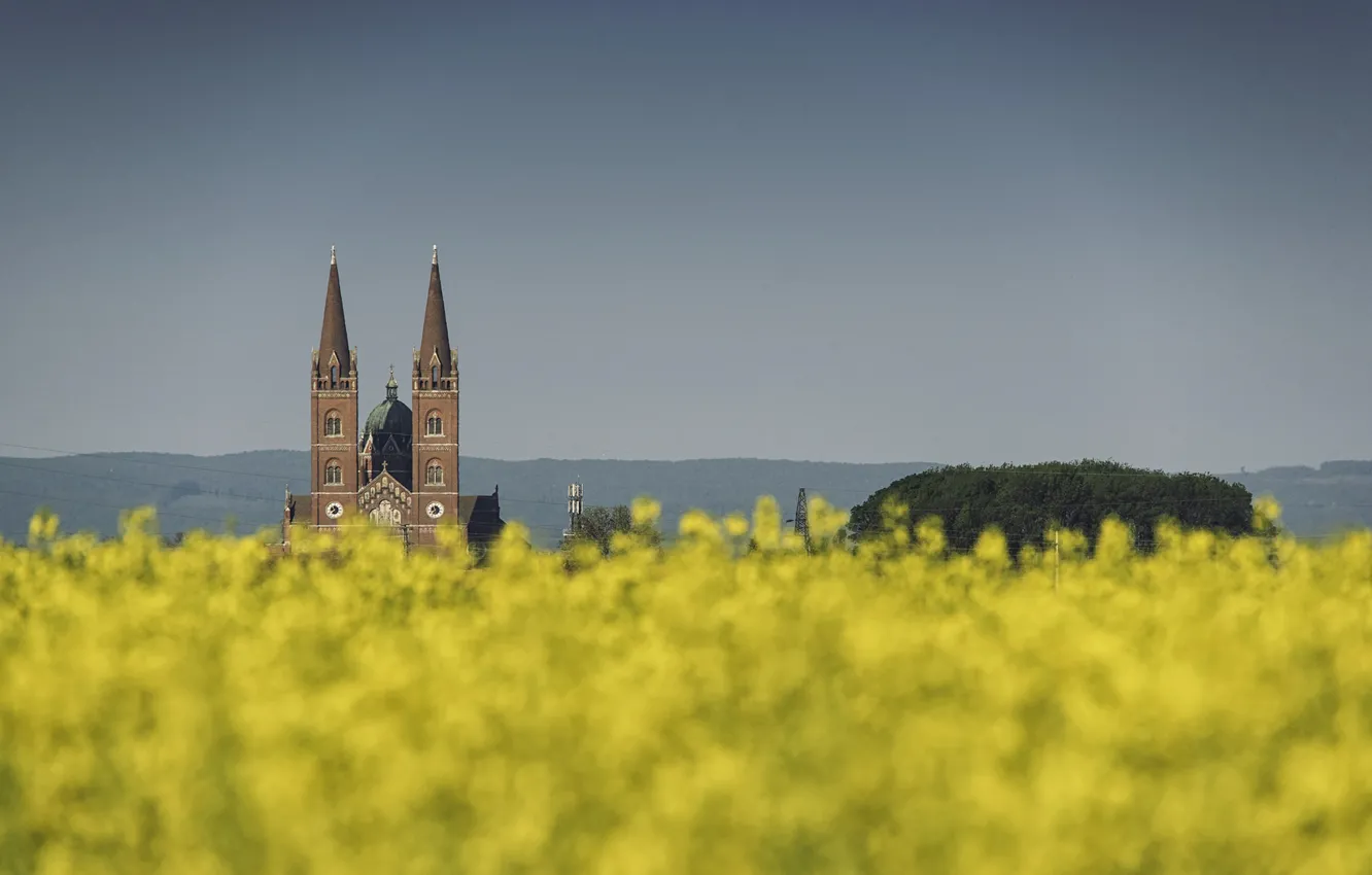 Photo wallpaper cathedral, flowers, bokeh, spring, Croatia, towers, sunny, field of gold