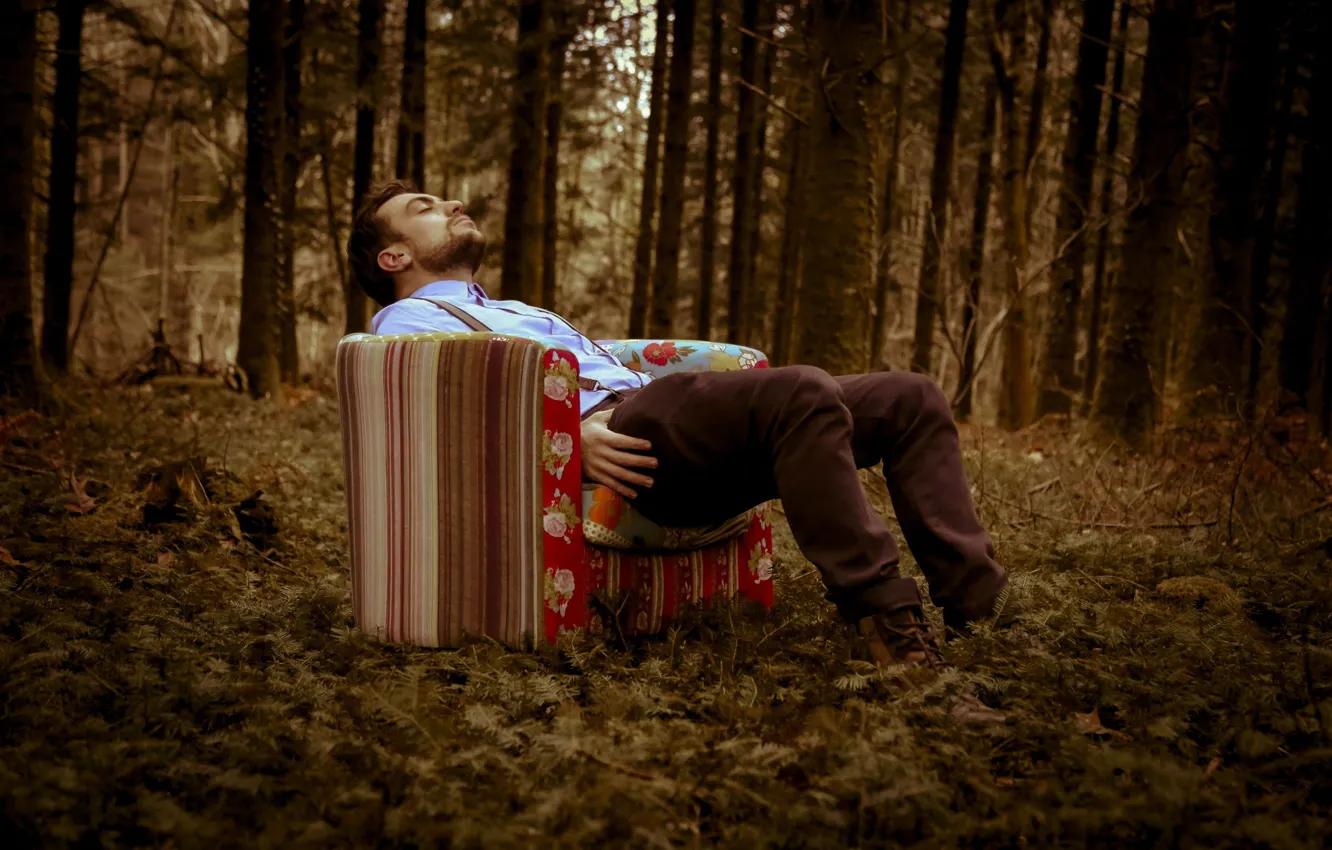 Photo wallpaper forest, photographer, sat, woke up, Florent Bellurot, fell asleep
