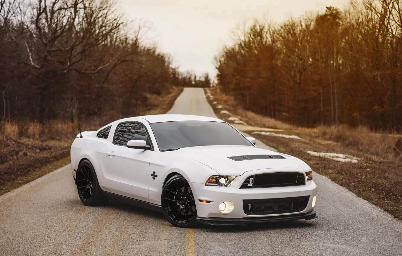 Photo wallpaper Mustang, Ford, Shelby, GT500, Shelby GT500, Ford Mustang, Ford Mustang Shelby GT500
