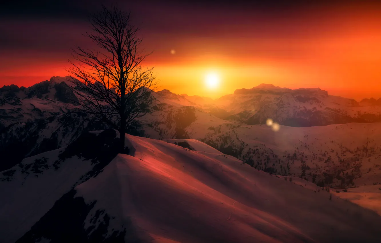 Photo wallpaper the sky, snow, landscape, sunset, mountains, tree, beauty