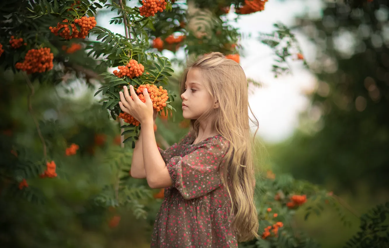 Photo wallpaper branches, nature, berries, girl, child, Rowan, bunches, Yuriy Korotun