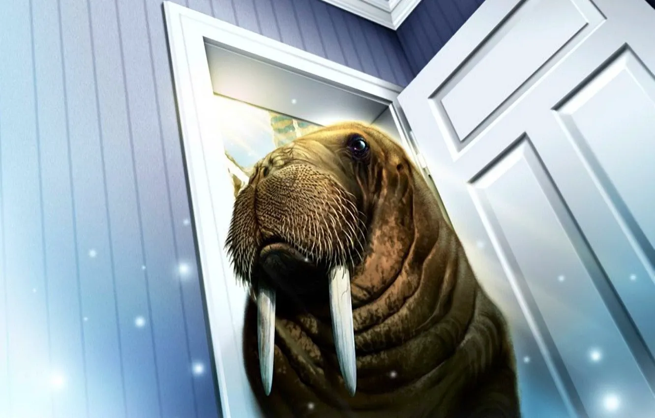 Photo wallpaper room, the door, walrus