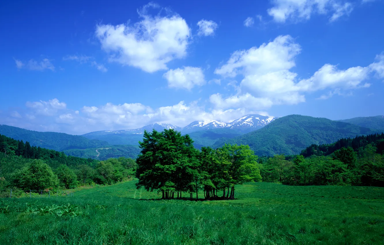 Photo wallpaper the sky, grass, clouds, trees, mountains, valley, meadow
