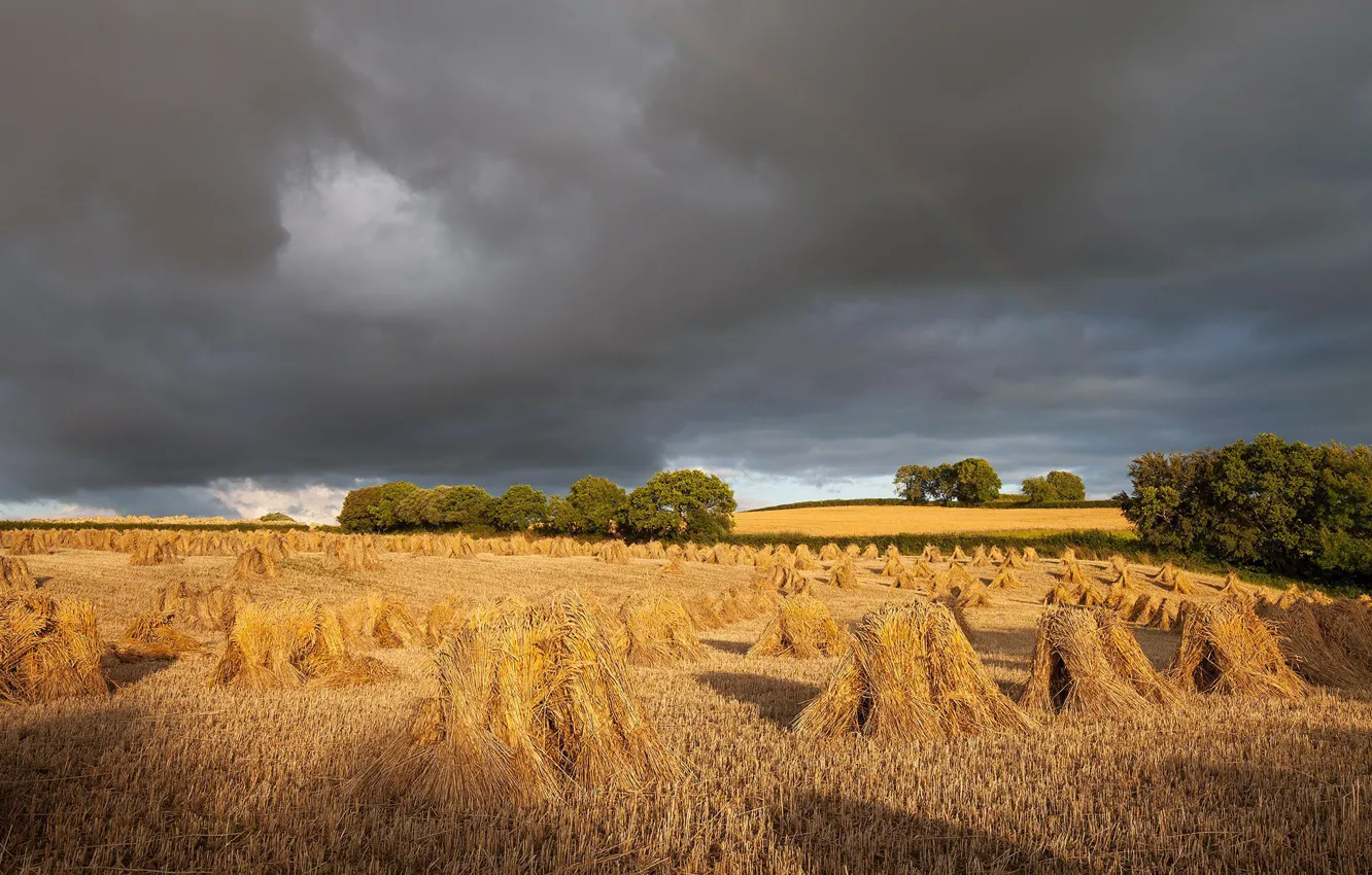 Photo wallpaper field, summer, rainbow, hay