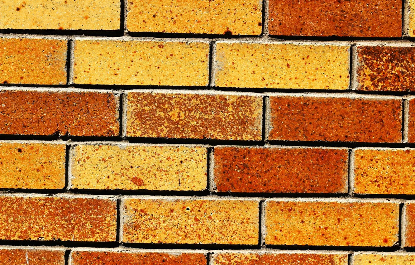 Photo wallpaper wall, brick, texture