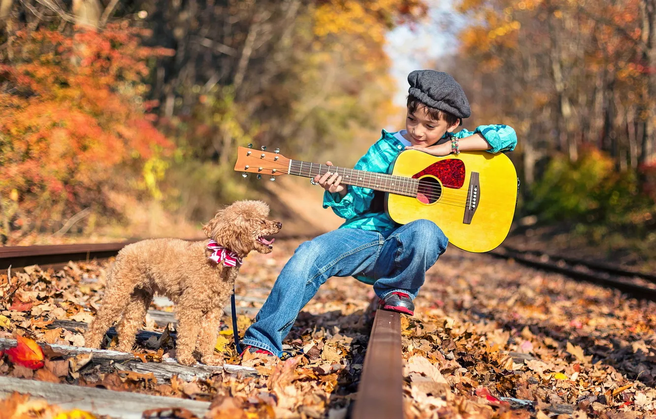 Photo wallpaper guitar, dog, railroad, Malchik