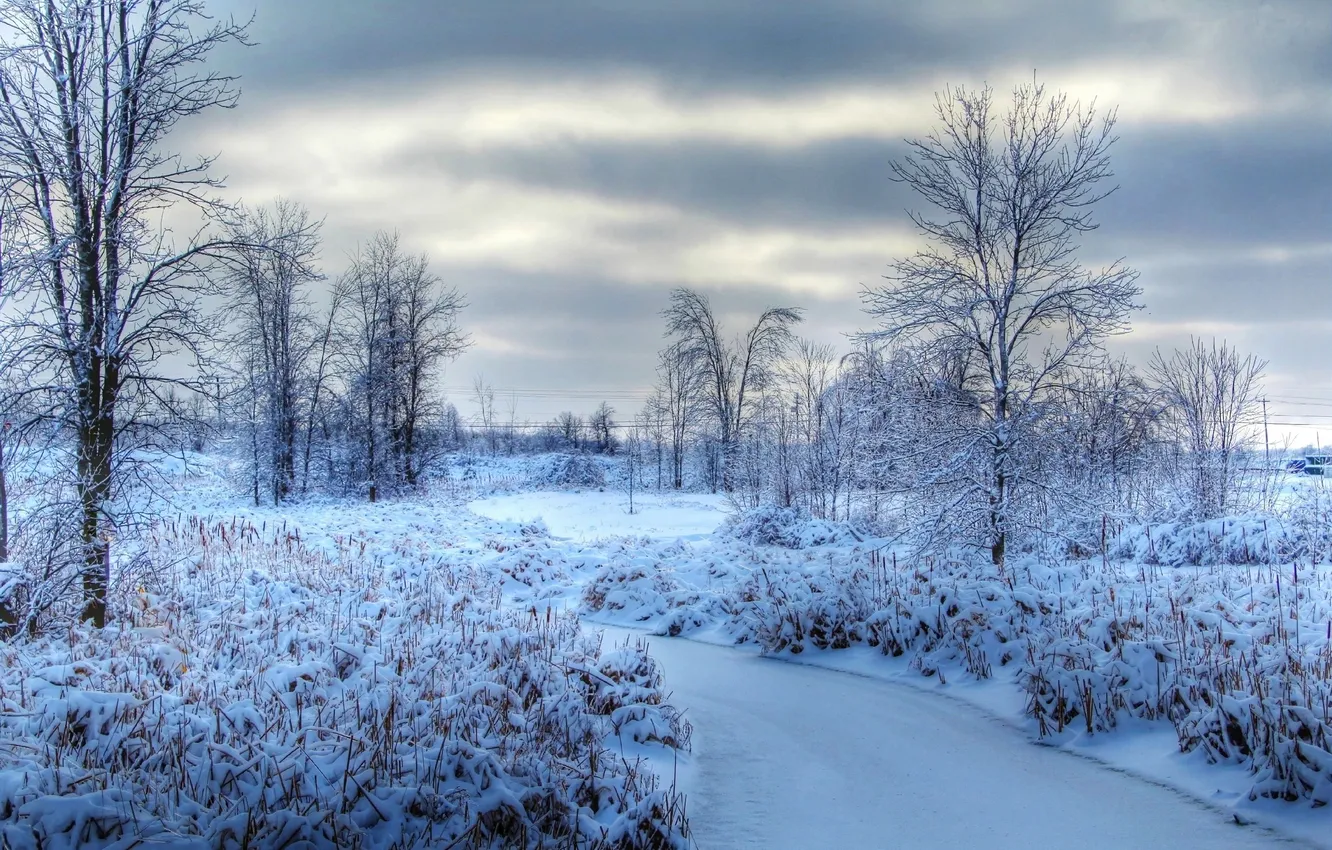 Photo wallpaper ice, winter, the sky, clouds, snow, trees, clouds, nature