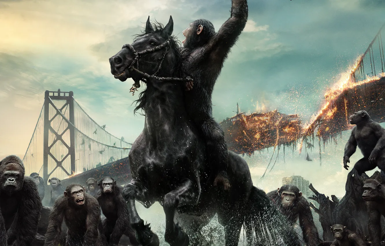 Photo wallpaper wallpaper, USA, Action, monkey, sky, animals, bridge, cloud