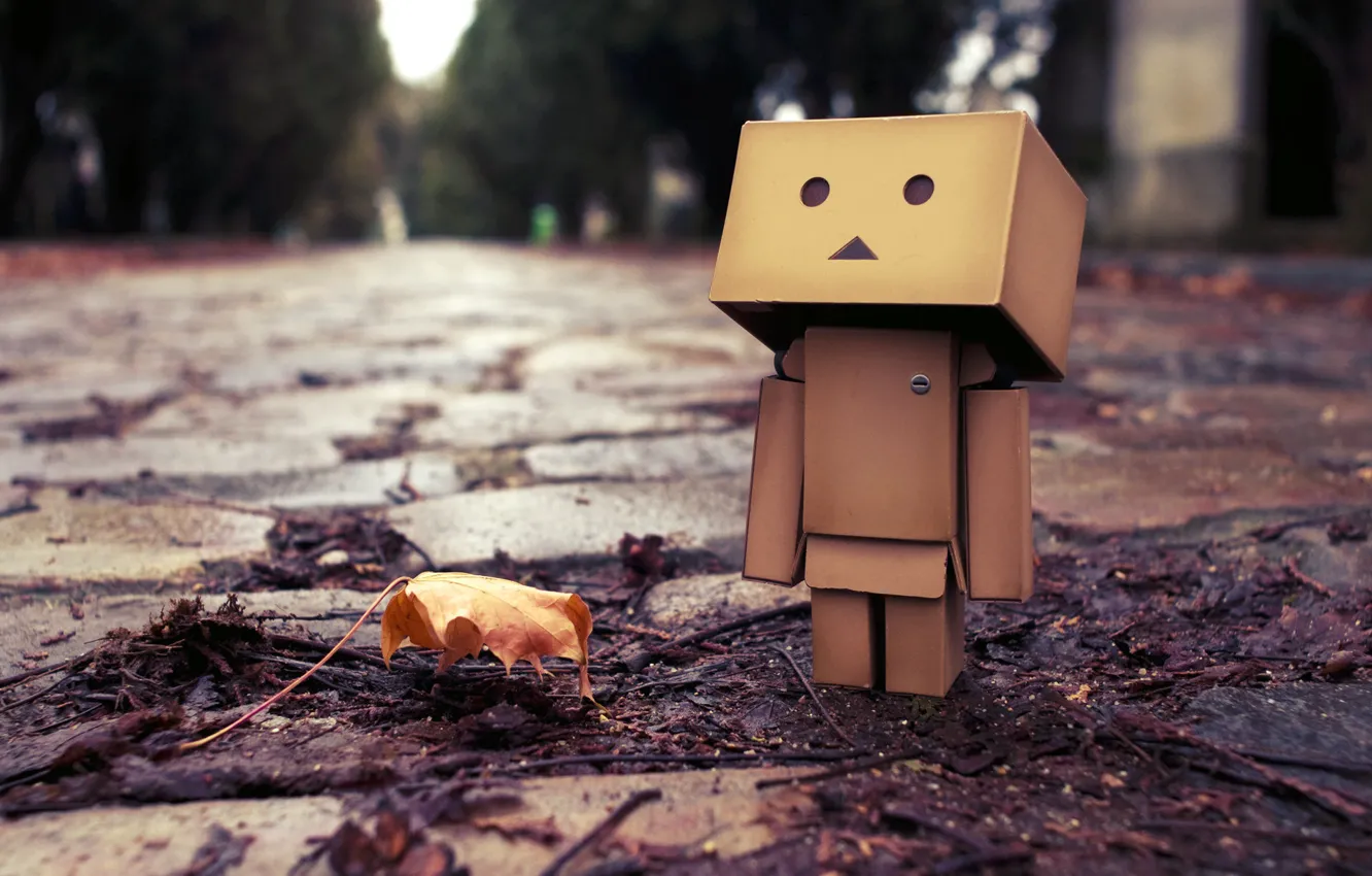 Photo wallpaper autumn, leaves, puddle, Boxing, danbo, danbo