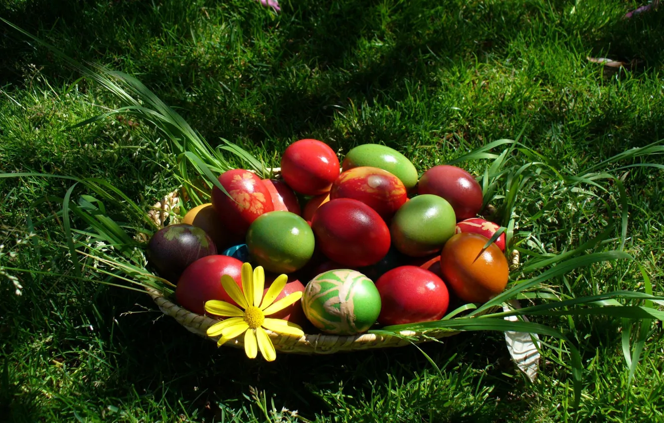 Photo wallpaper grass, eggs, Easter