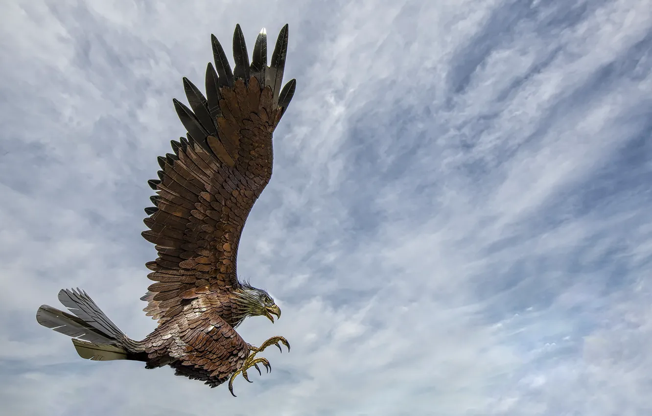 Photo wallpaper the sky, bird, eagle