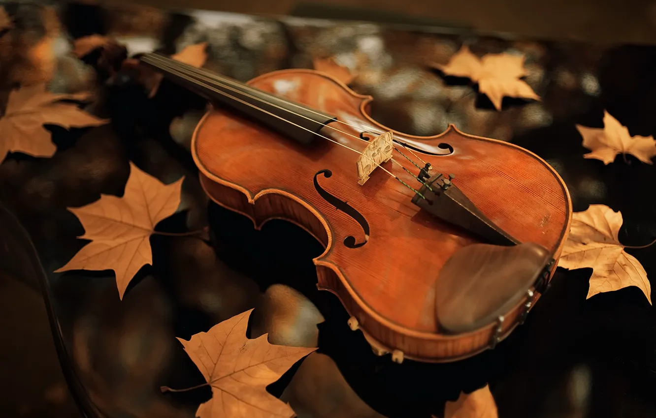 Photo wallpaper autumn, leaves, violin