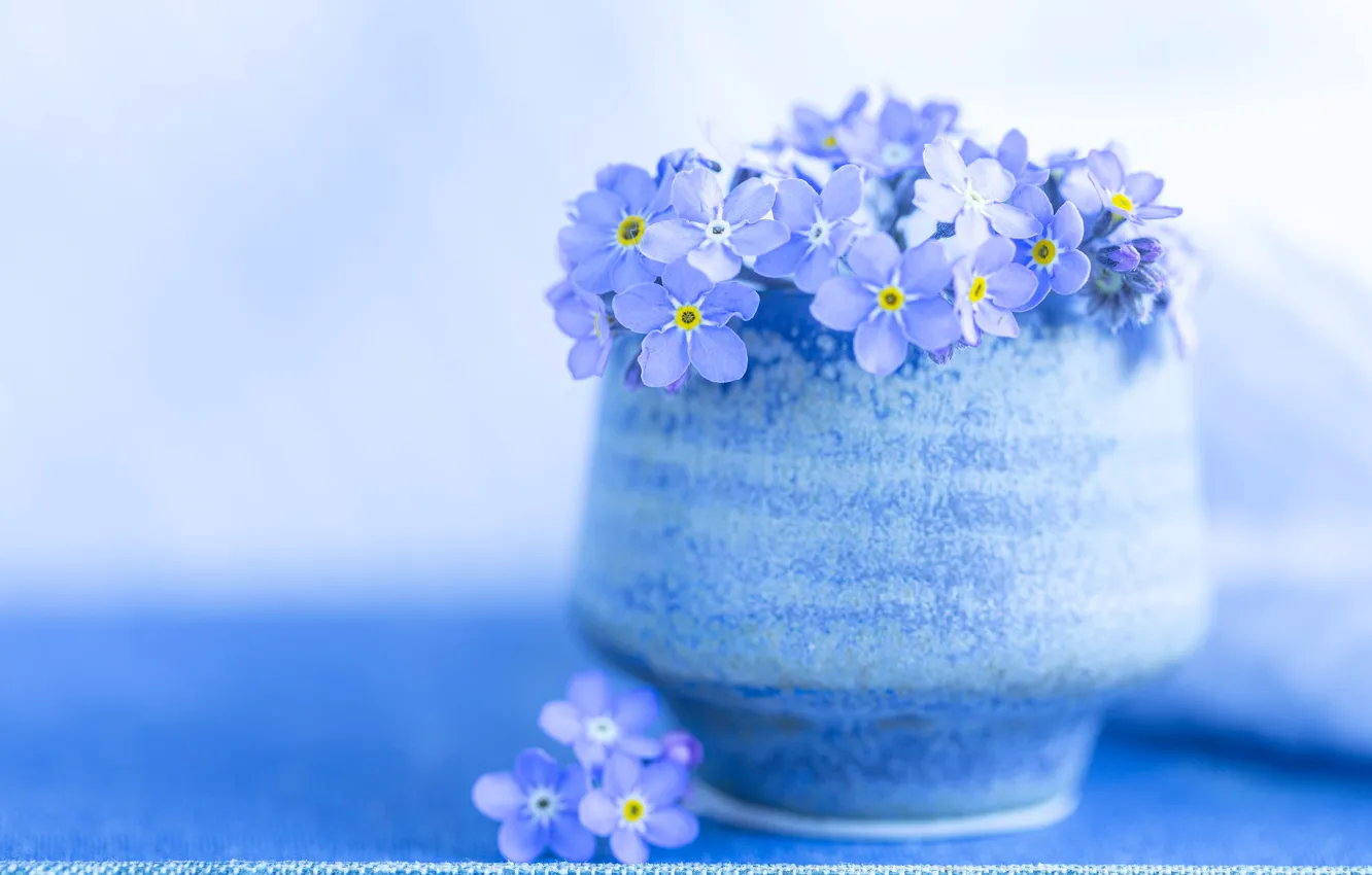 Photo wallpaper flowers, forget-me-nots, composition