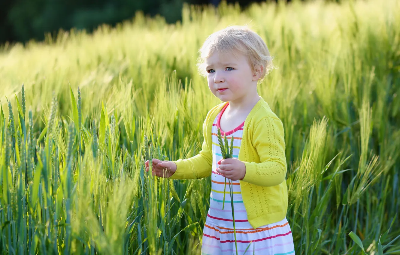 Photo wallpaper field, children, spikelets, girl