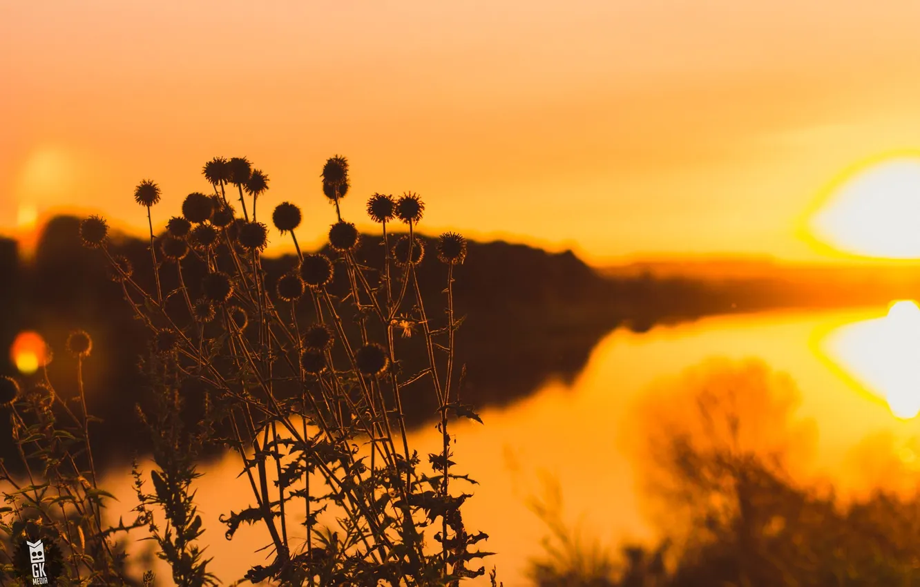 Photo wallpaper sunset, nature, river, focus, GK media, Grigory Karaman, Kaluga, Kaluga