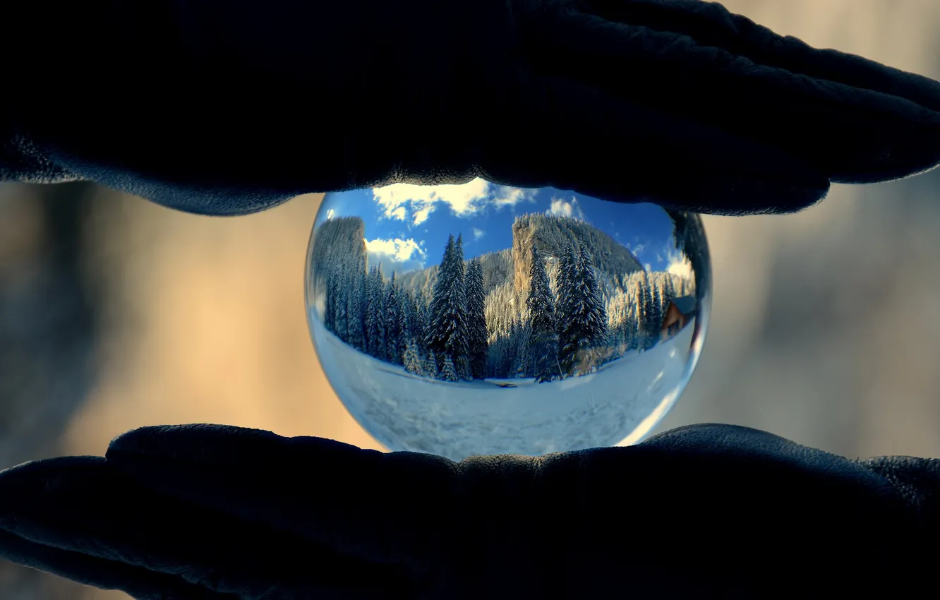 Photo wallpaper the world, hands, fragility