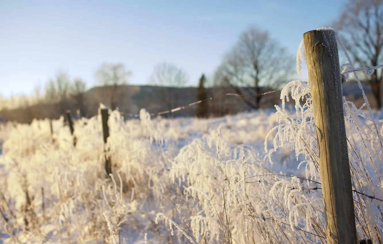 Photo wallpaper winter, snow, the fence