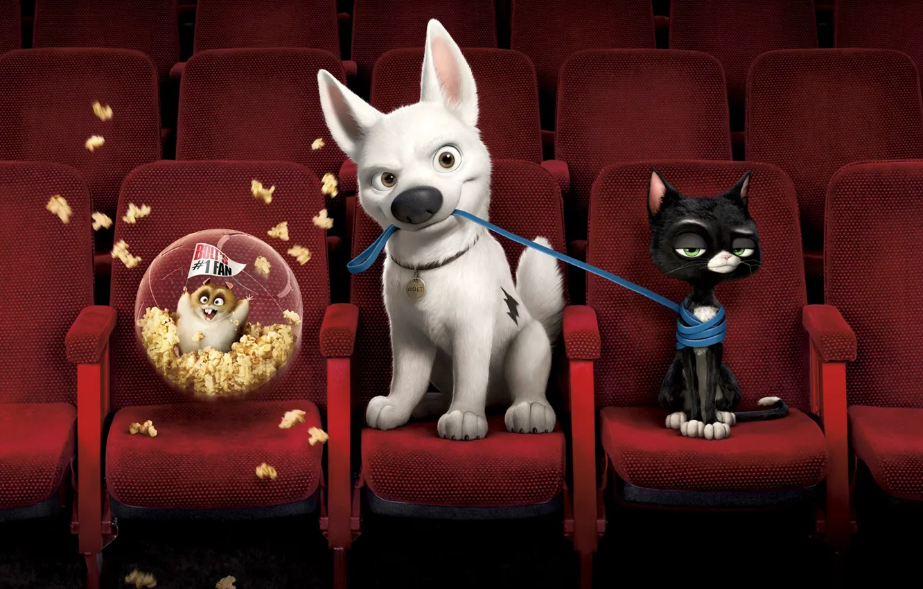 Photo wallpaper cartoon, 2008, Volt, movie, Rhino, mittens, bolt