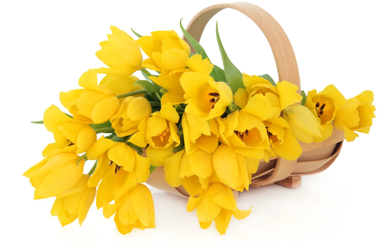Photo wallpaper white, flowers, yellow, tulips, basket