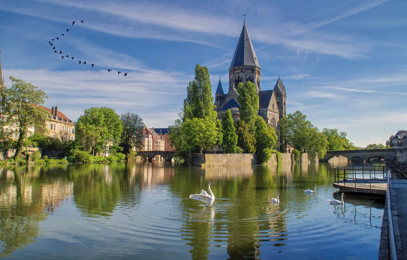 Photo wallpaper the city, lake, bird, swans