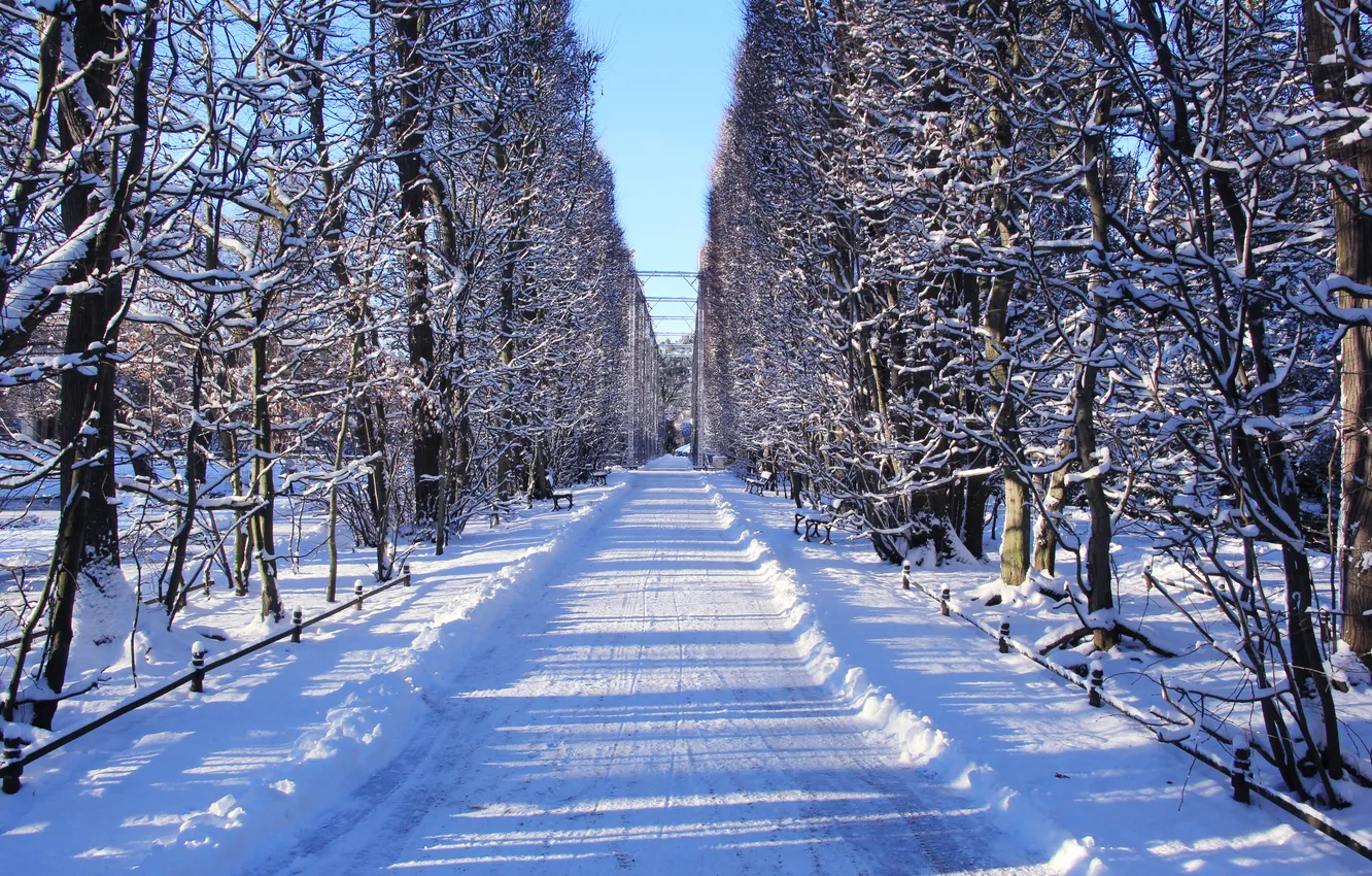 Photo wallpaper park, winter, snow, alley
