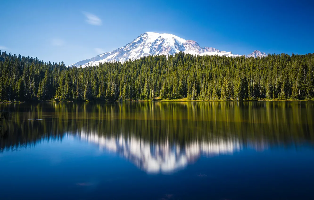 Photo wallpaper forest, lake, reflection, mountain, Mount Rainier National Park, National Park mount Rainier, Mount Rainier, The …