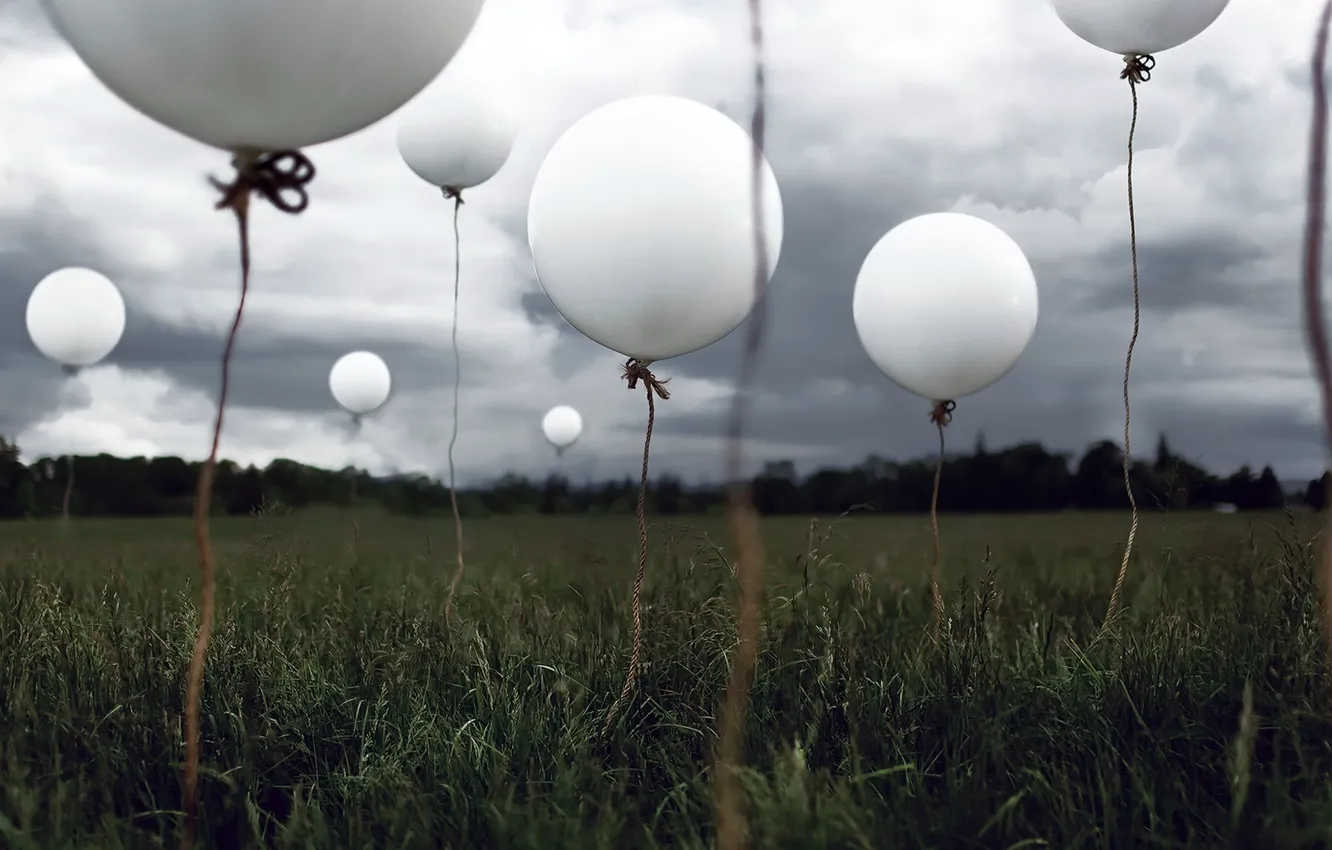 Photo wallpaper field, grass, balls